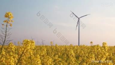 欧洲的能源混合所提供的能源转向生物和风能的因素